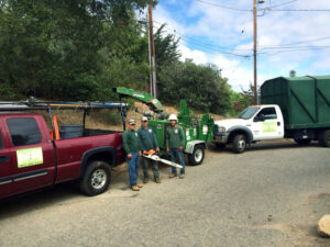 tree care service professionals