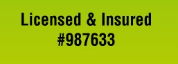 Licensed & Insured #987633